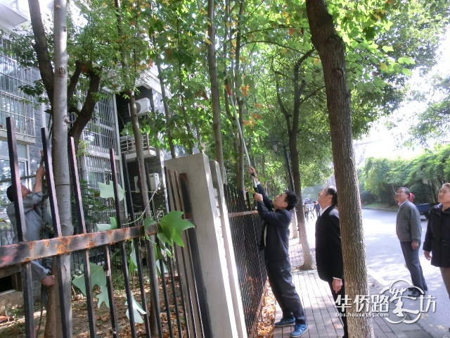 新一届业委会首月工作实录