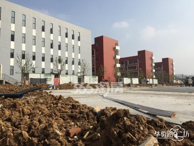 【学校进展】麒麟科创园竹山中小学学校最新工