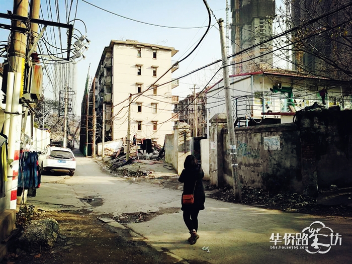 【实探钉子户】世茂三期用地 【实探钉子户】世茂三期用地