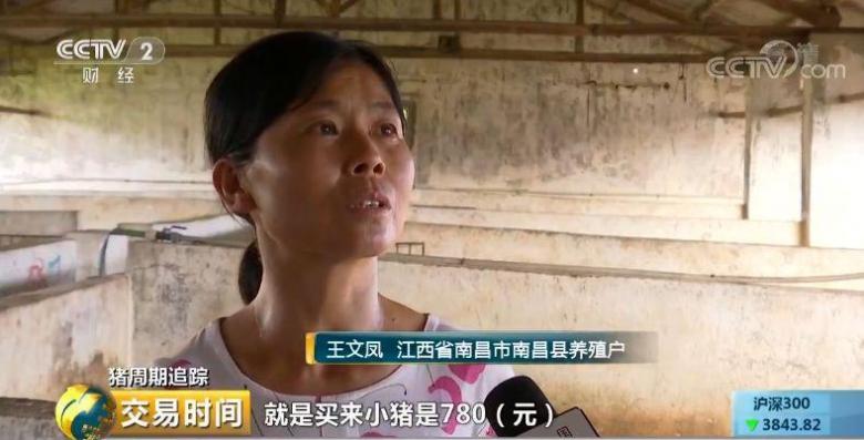 养殖户亏损,猪还养不养?重振信心,国家出手了! 养殖户亏损,猪还养不养?重振信心,国家出手了!