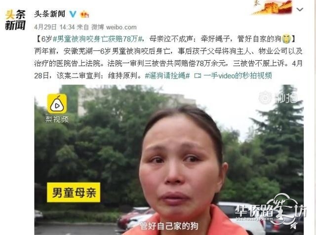 遛狗为何不牵绳?“我家狗不咬人!”狗主的脸上不该写满无耻 遛狗为何不牵绳?“我家狗不咬人!”狗主的脸上不该写满无耻