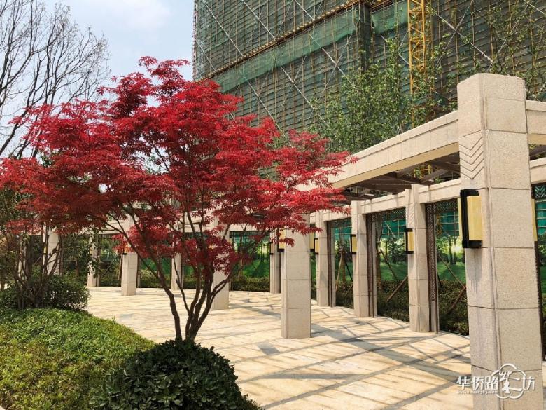 【亚东同城逸境】最新样板间公开!一大波美图来啦 【亚东同城逸境】最新样板间公开!一大波美图来啦