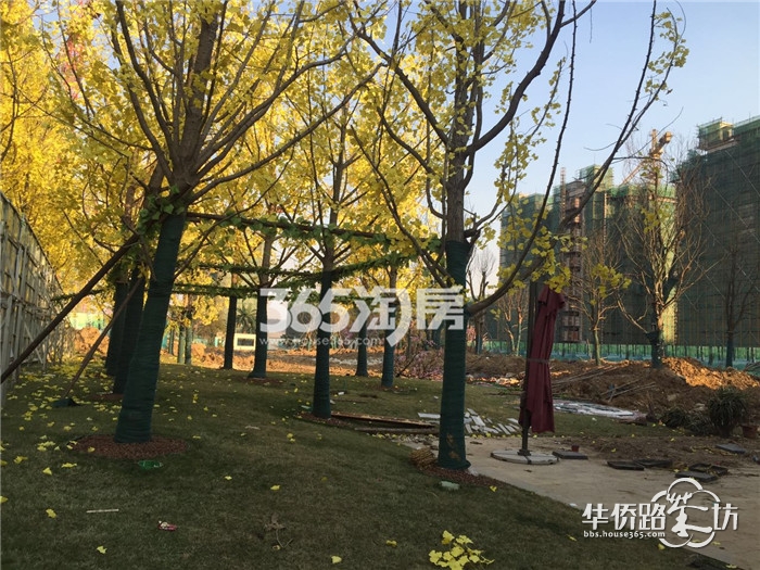 【跑盘贴】恒大龙珺 【跑盘贴】恒大龙珺