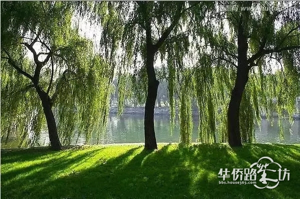 【约“绘”春天】4月14日,复地宴南都举办长卷手绘亲子DIY活动啦,一起用画笔记录美丽的春天吧! 【约“绘”春天】4月14日,复地宴南都举办长卷手绘亲子DIY活动啦,一起用画笔记录美丽的春天吧!