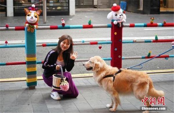 多城出台养犬新政 纵犬、虐犬都将面临重罚! 多城出台养犬新政 纵犬、虐犬都将面临重罚!