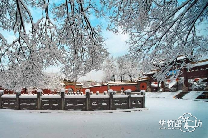 晒雪景 晒雪景