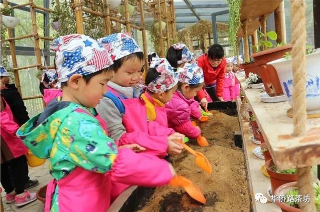 10月28日,一定要带孩子来河西!价值88元绿色有爱多肉等你来DIY!现场更有多重礼品拿到手软!! 10月28日,一定要带孩子来河西!价值88元绿色有爱多肉等你来DIY!现场更有多重礼品拿到手软!!