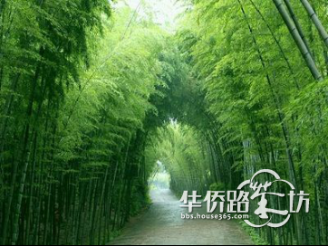 小编全程公交穷游溧水 40分钟把无想山拉到身边 小编全程公交穷游溧水 40分钟把无想山拉到身边