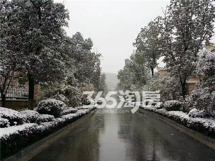 【初雪未央】锦隆云山墅雪景风景照曝光啦!美到无与伦比……收图啦! 【初雪未央】锦隆云山墅雪景风景照曝光啦!美到无与伦比……收图啦!