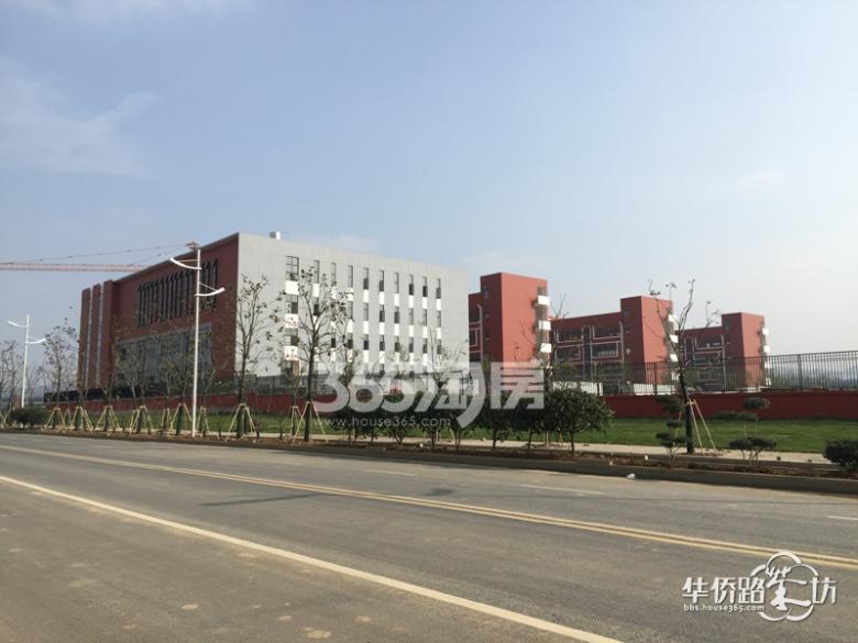 【学校进展】麒麟科创园竹山中小学学校最新工