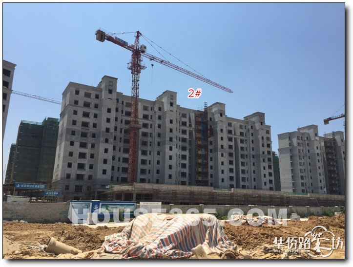 【小悦招商依云郡初跑记】请告诉我怎么才能进