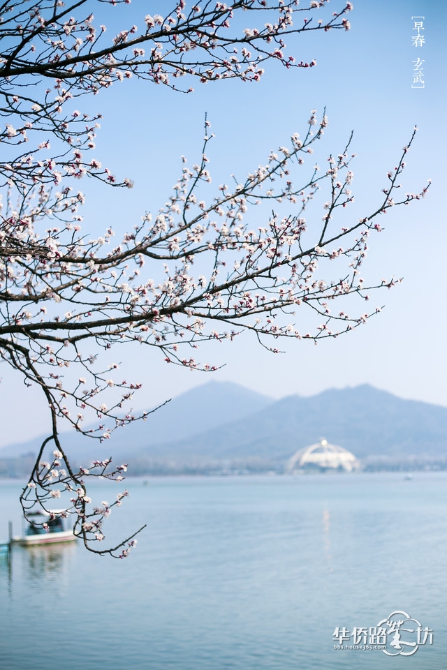 3月18日“寻找第一抹春色”摄影主题踏青活动报名 3月18日“寻找第一抹春色”摄影主题踏青活动报名