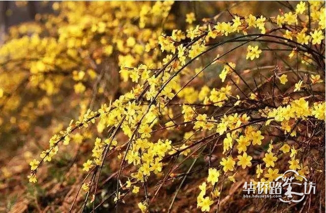 【约“绘”春天】4月14日,复地宴南都举办长卷手绘亲子DIY活动啦,一起用画笔记录美丽的春天吧! 【约“绘”春天】4月14日,复地宴南都举办长卷手绘亲子DIY活动啦,一起用画笔记录美丽的春天吧!