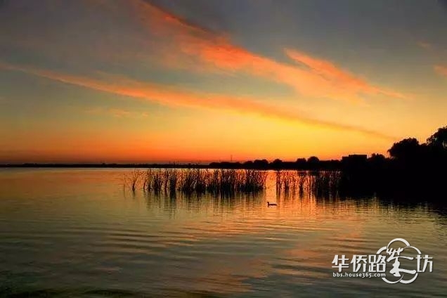房价涨230%! 从看不上到买不起的南京式买房 房价涨230%! 从看不上到买不起的南京式买房