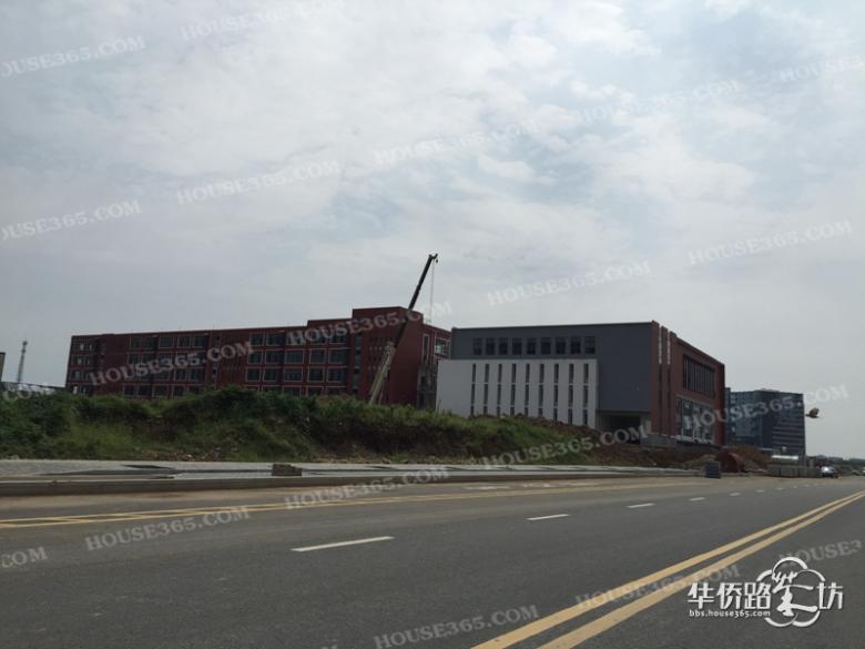 【学校进展】麒麟科创园竹山中(小)学8月最新