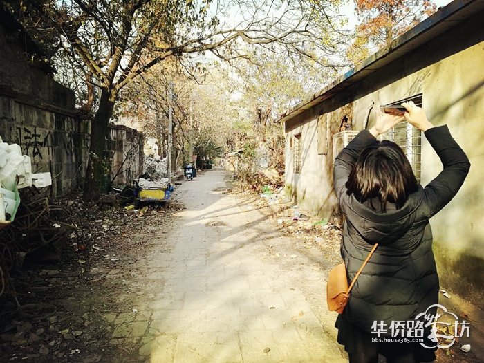 【实探钉子户】世茂三期用地 【实探钉子户】世茂三期用地