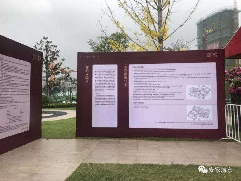 熙悦开盘,一小时卖出9成! 熙悦开盘,一小时卖出9成!