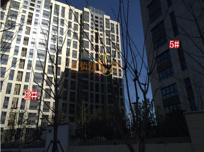 必看帖!有图有真相!河西8大豪宅光照PK!总价千万买的是小黑屋还是阳光房? 必看帖!有图有真相!河西8大豪宅光照PK!总价千万买的是小黑屋还是阳光房?