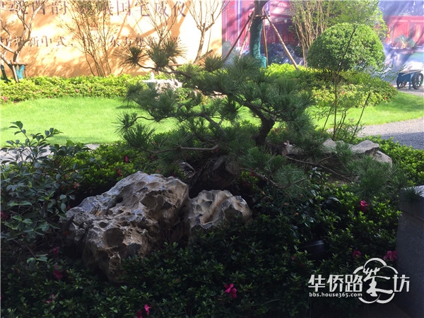 继南京院子之后,泰禾又一住宅上市,预计6月开盘 继南京院子之后,泰禾又一住宅上市,预计6月开盘
