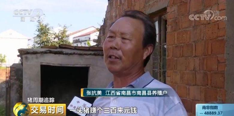 养殖户亏损,猪还养不养?重振信心,国家出手了! 养殖户亏损,猪还养不养?重振信心,国家出手了!