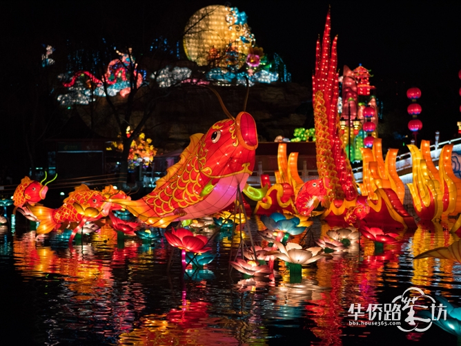俏皮花灯迎“旺”年, 俏皮花灯迎“旺”年,