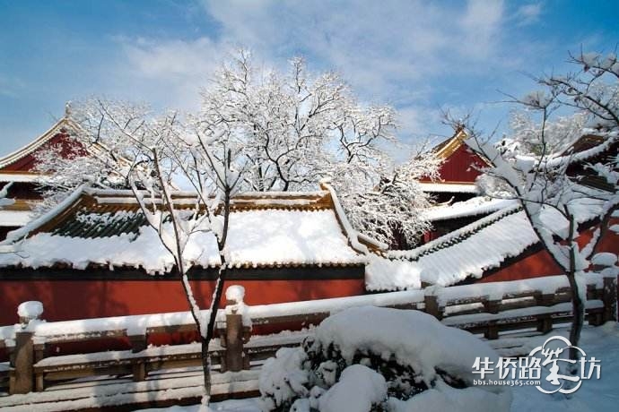 晒雪景 晒雪景