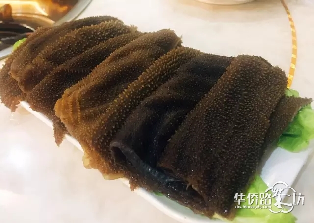 众多美食5折开吃!骚年,躁动起来吧! 众多美食5折开吃!骚年,躁动起来吧!