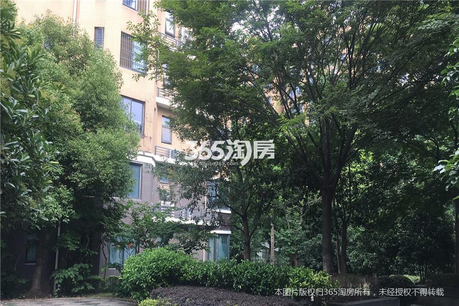 阅城国际花园