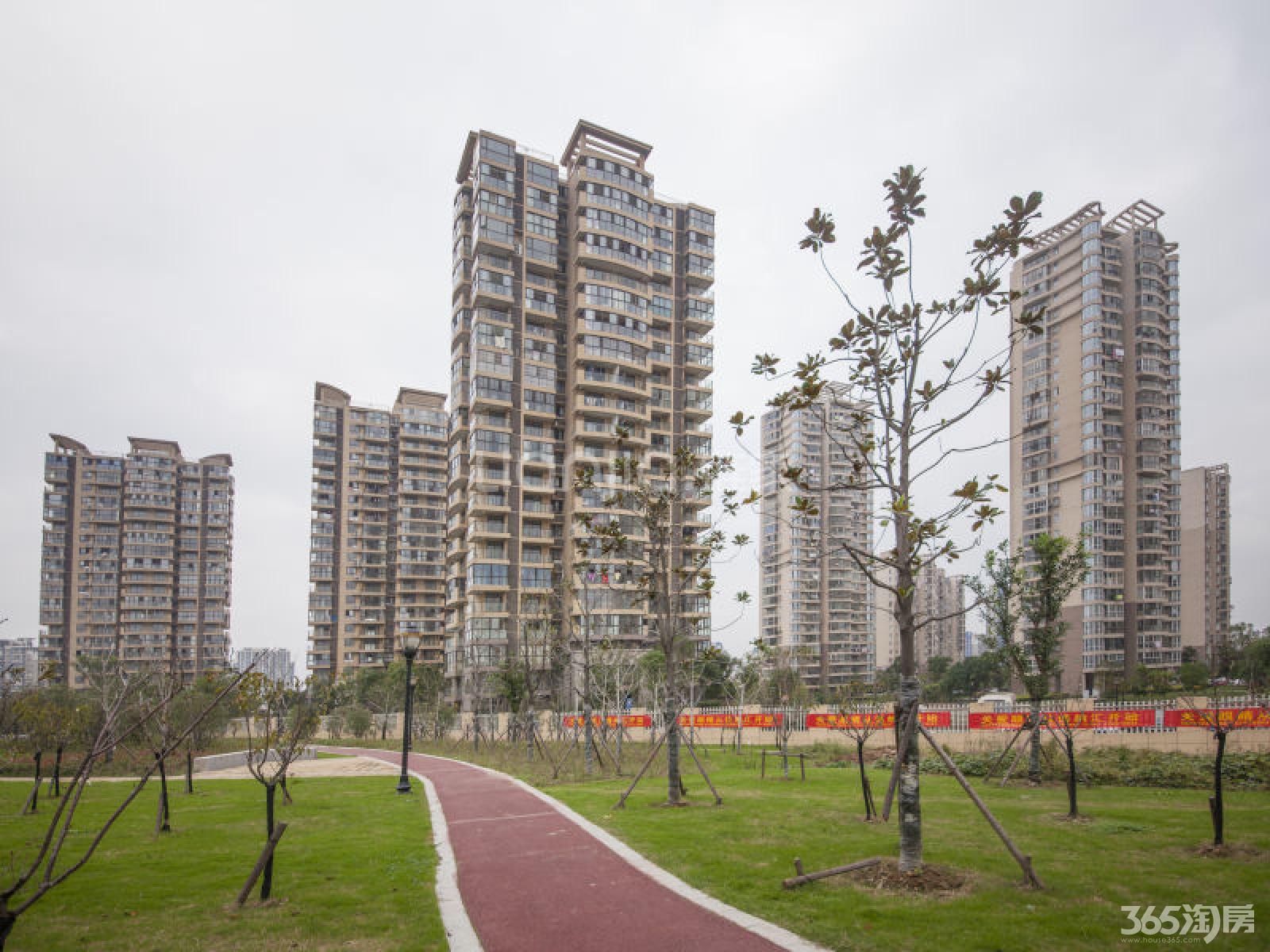 江宁区科学园武夷绿洲品兰苑81.00㎡精装3室1厅