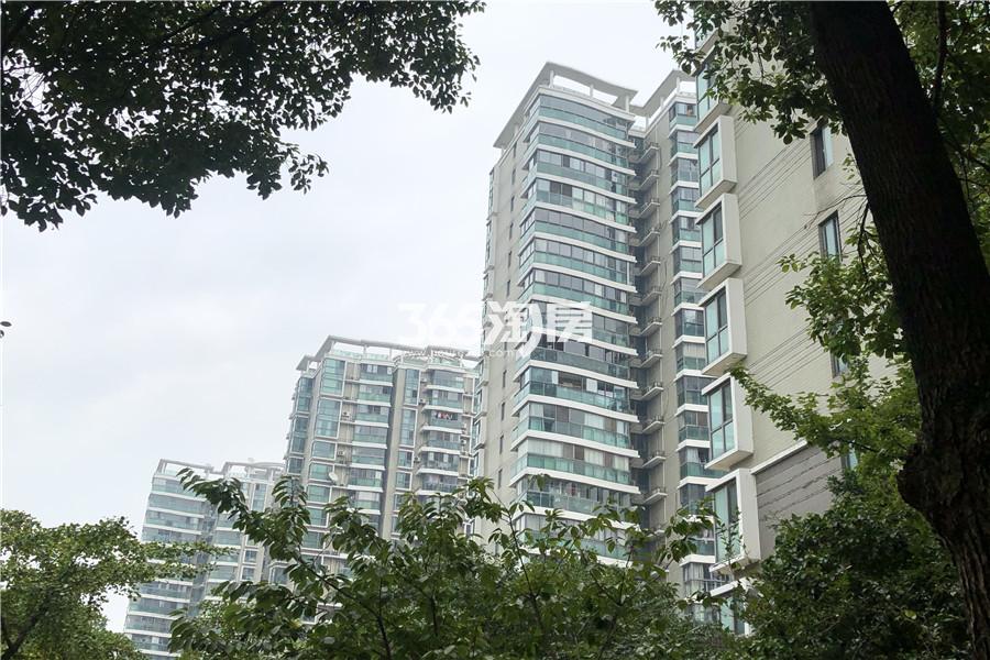 银城东苑东篱苑