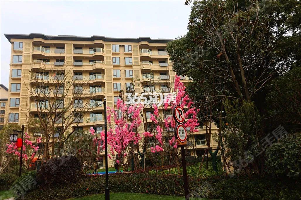 荣盛华府_芜湖荣盛华府二手房|租房|房价_芜湖365淘房